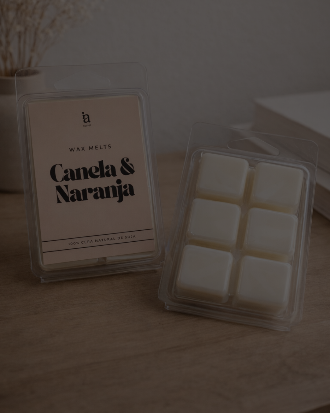 Quemadores y wax-melts
