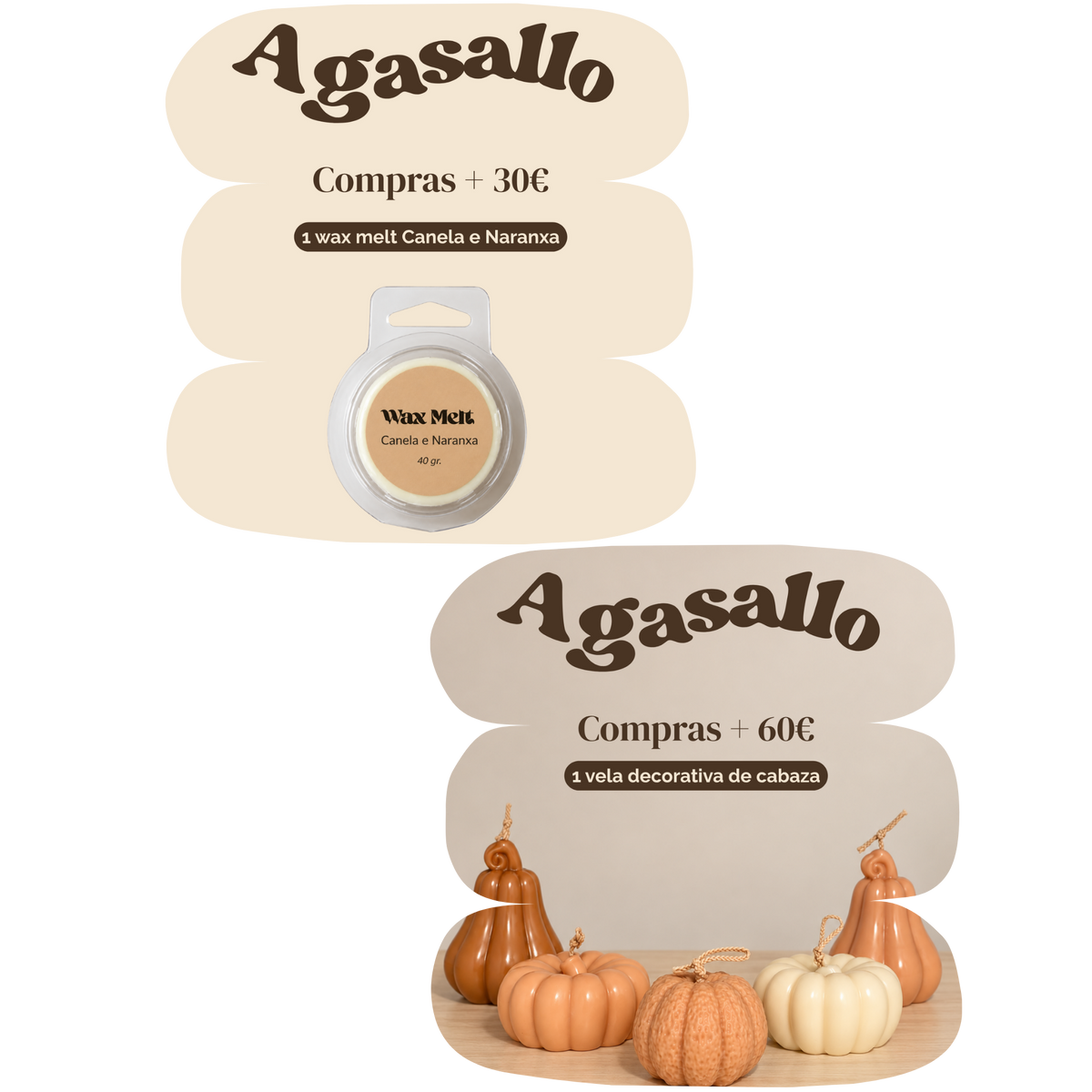 Consigue o teu agasallo de Outono